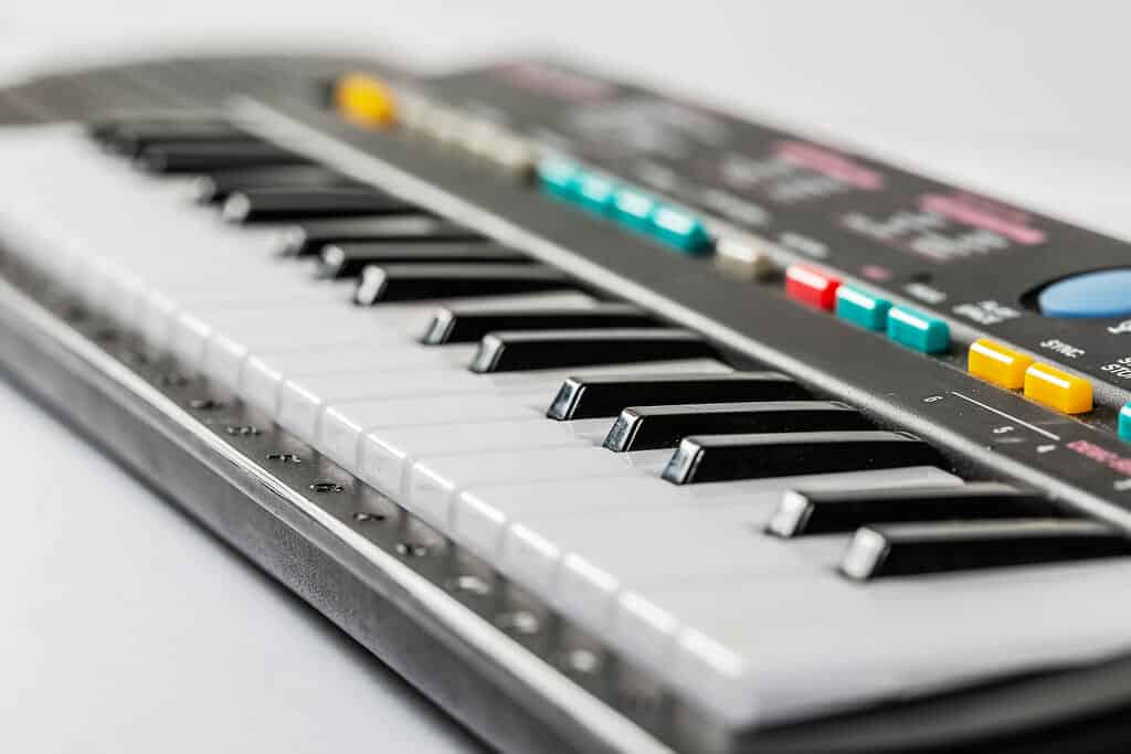 The Best Piano Keyboard for Beginners - Piano Reviewer